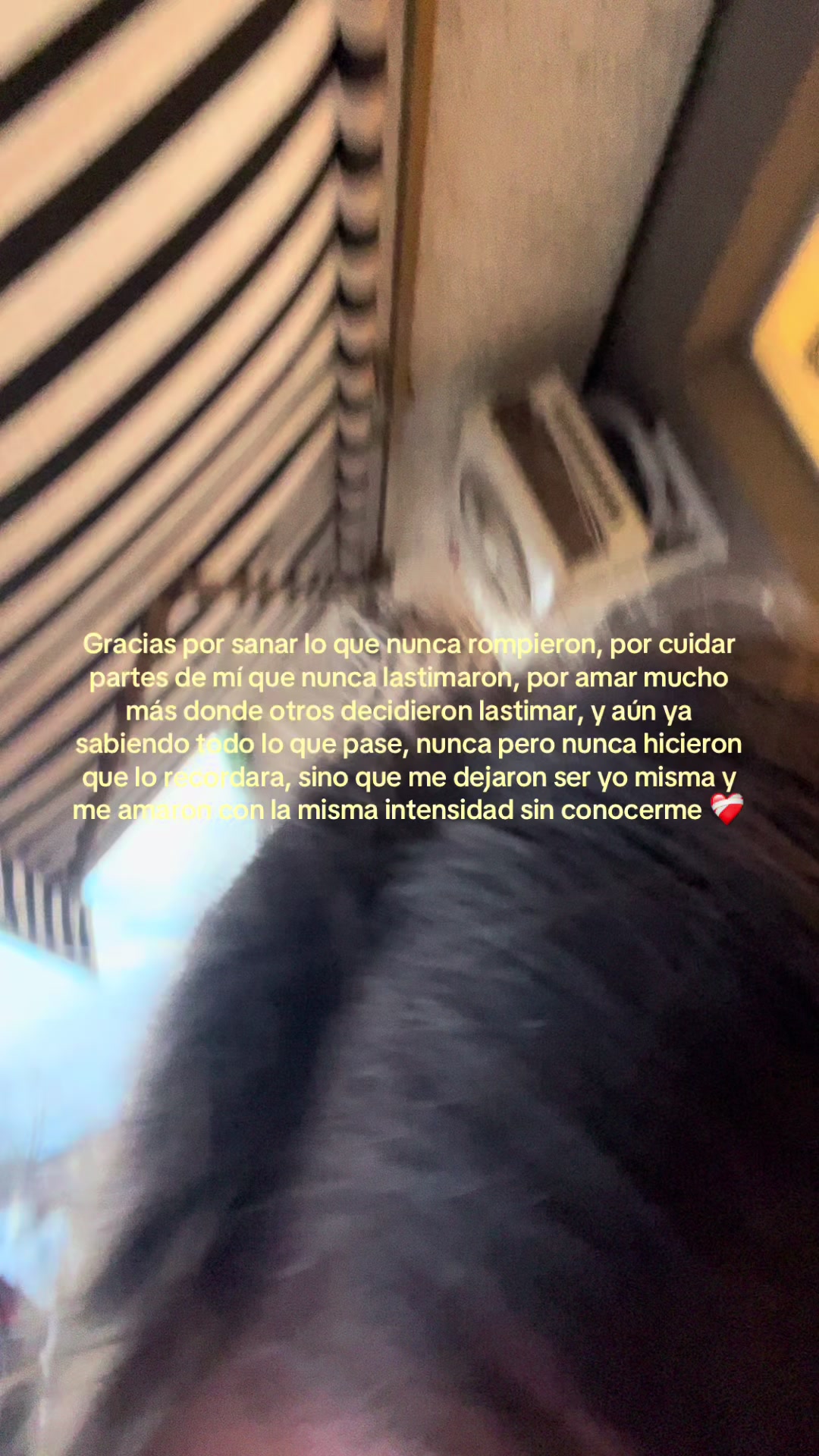 @lolinicole_