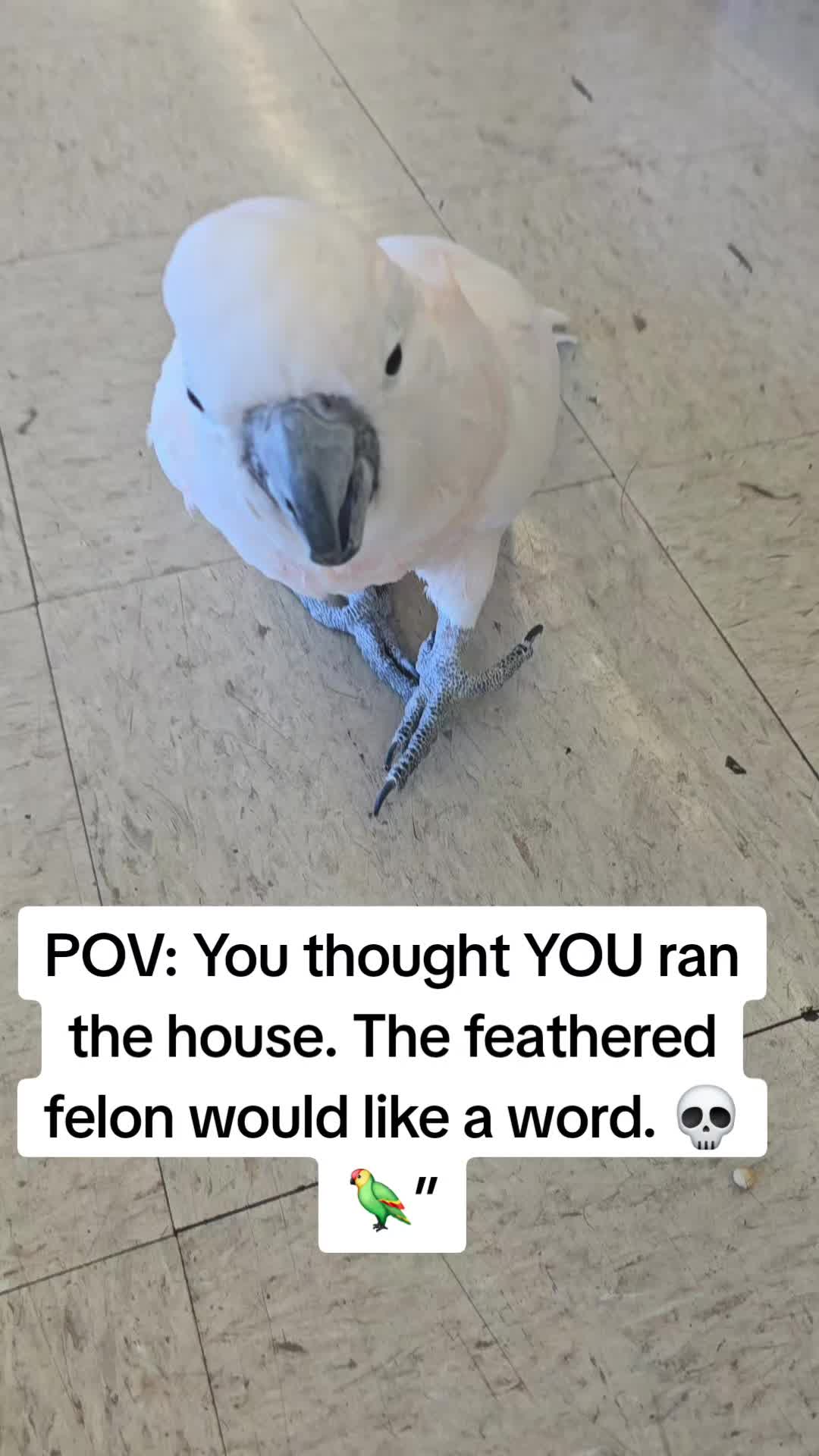 @pain2purpose