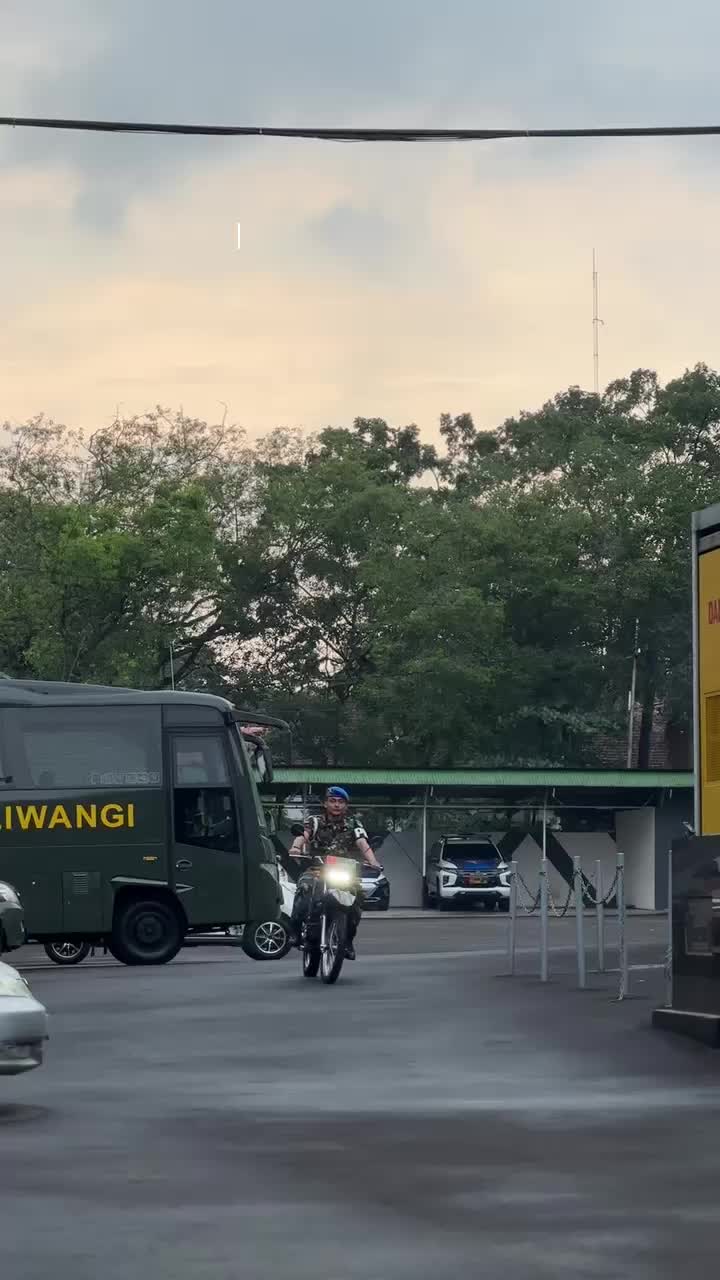 @fatHULK🦖