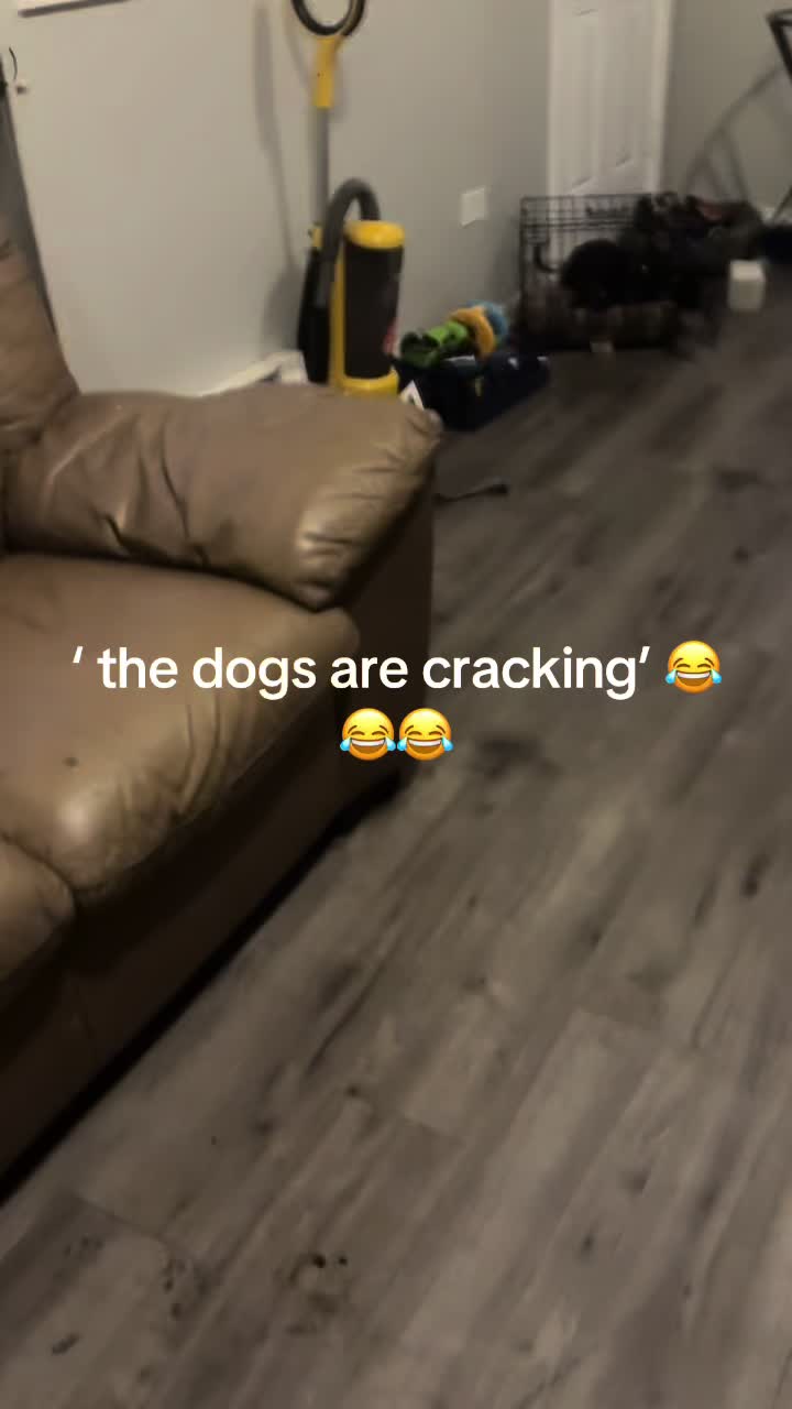 @contentrepostzz