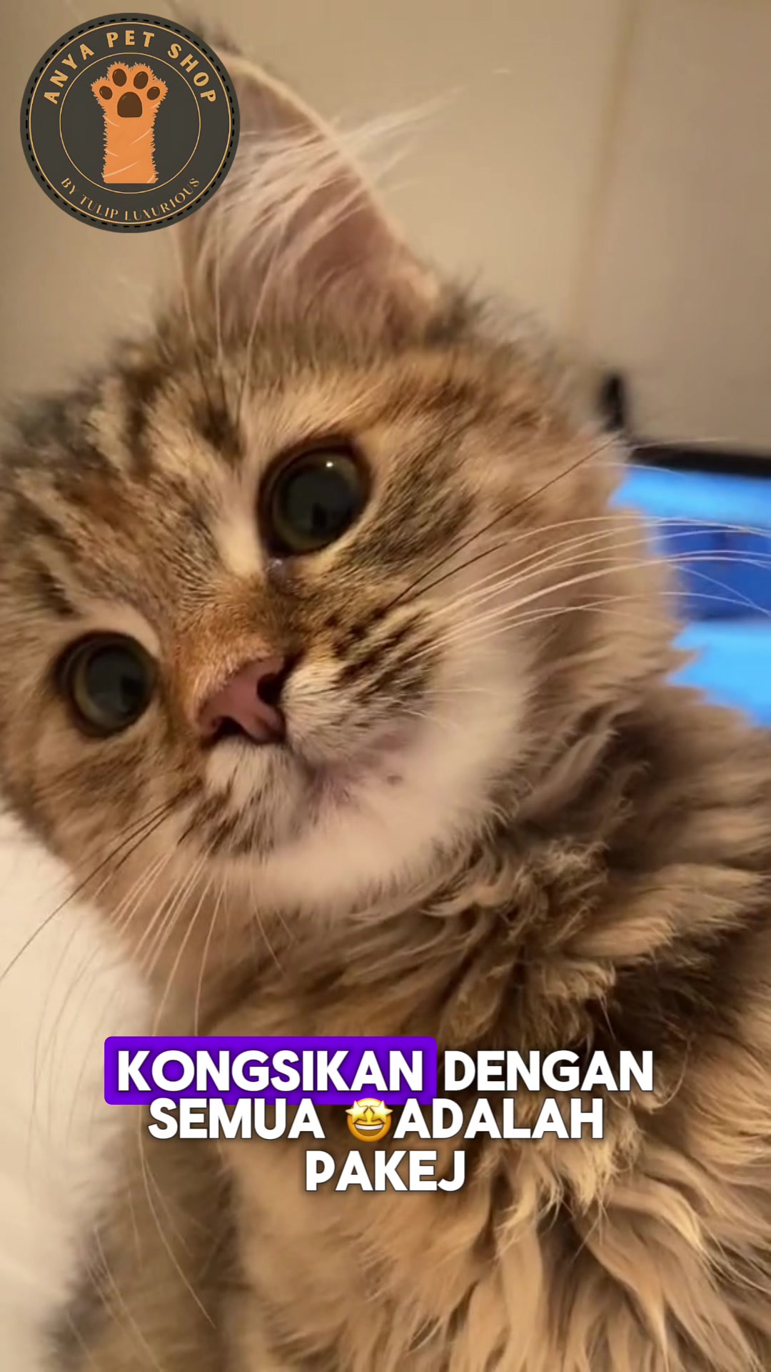 @Anya Pet Shop
