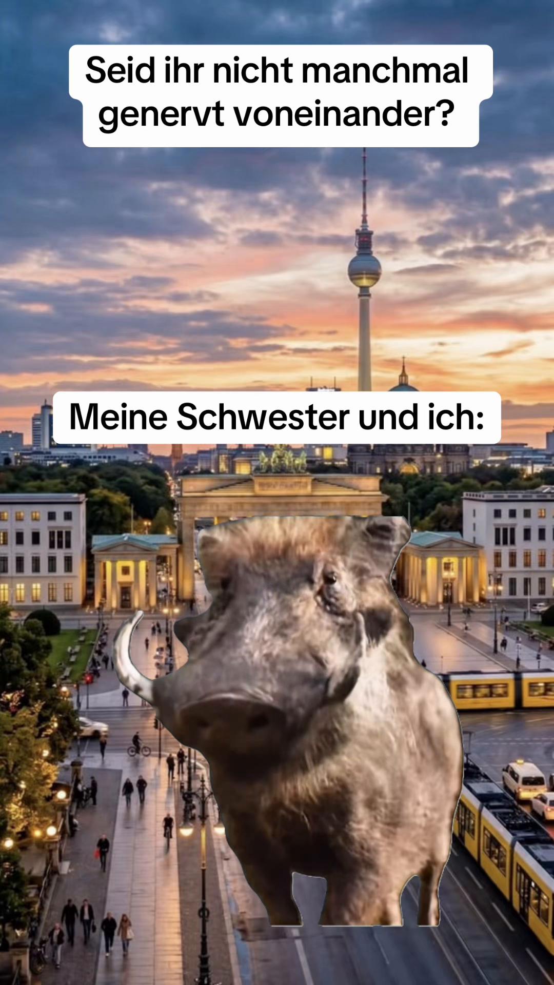 @Ann-Kathrin🦋