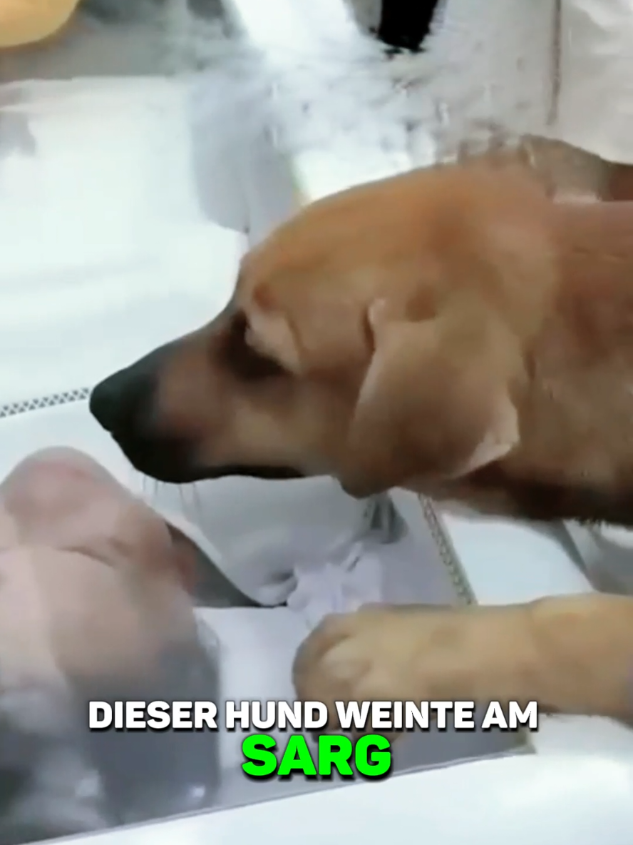 @EinsatzReport News