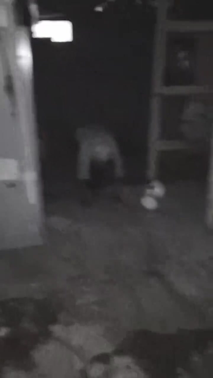 @Cuentos de Terror