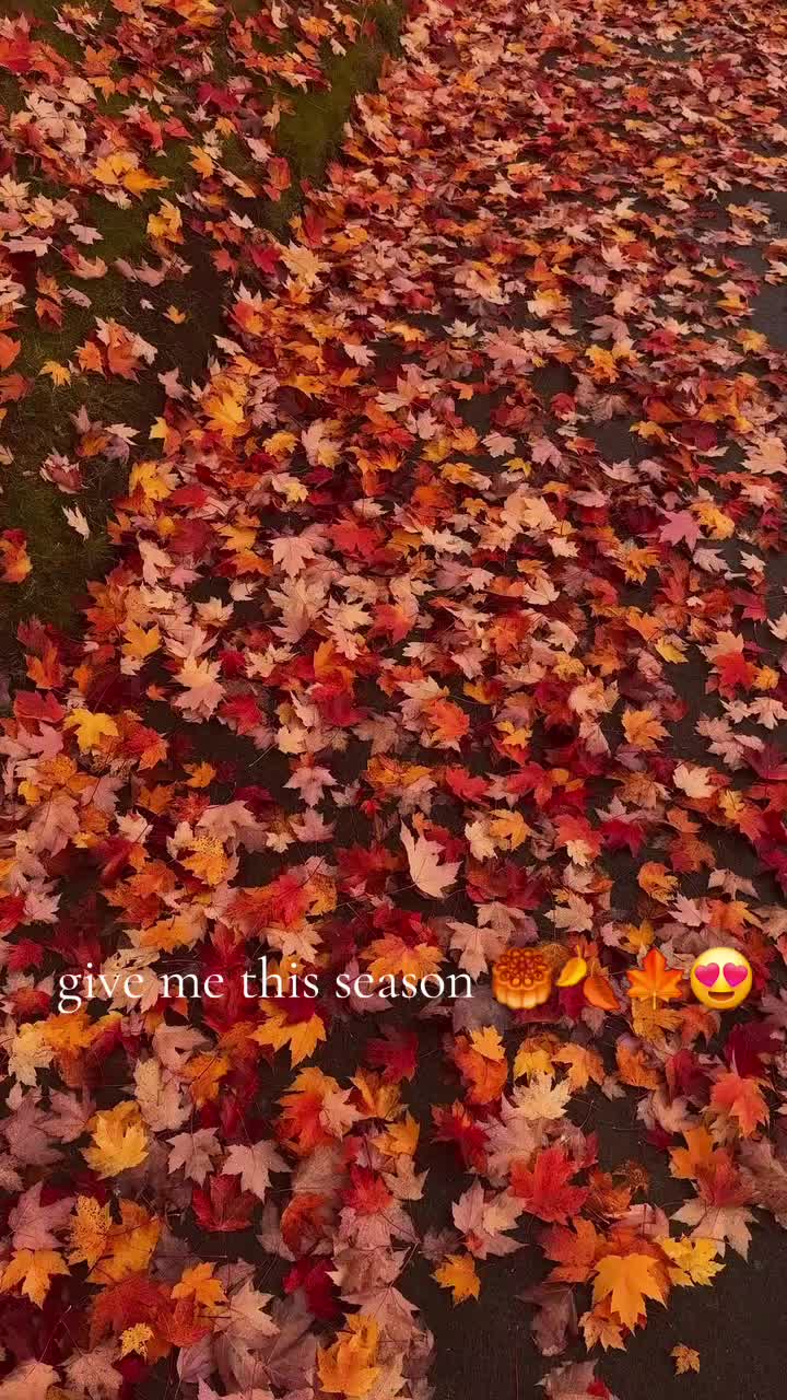 @dreamyvibes