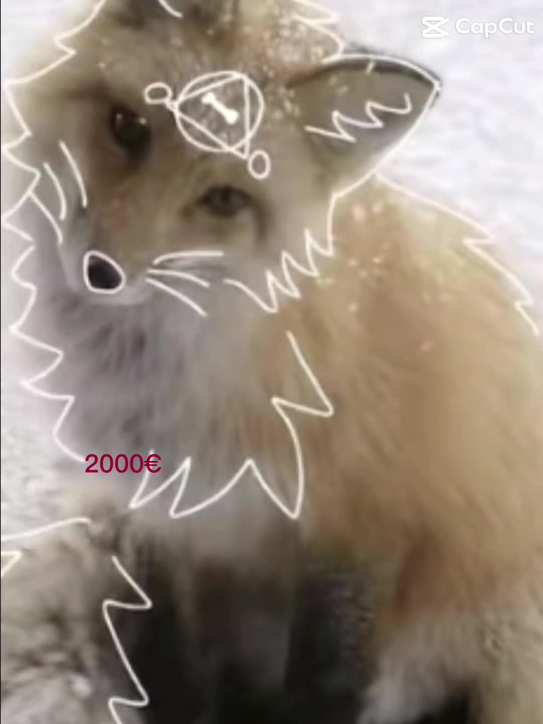 @lea_wrmnd