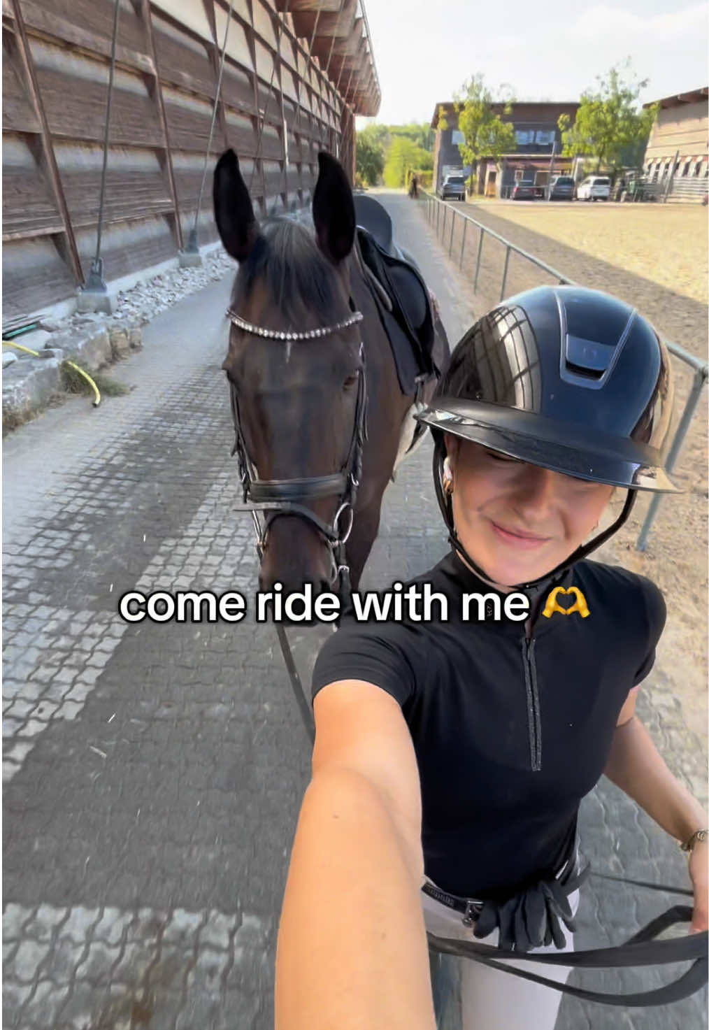 @Eva & Dino 🦕