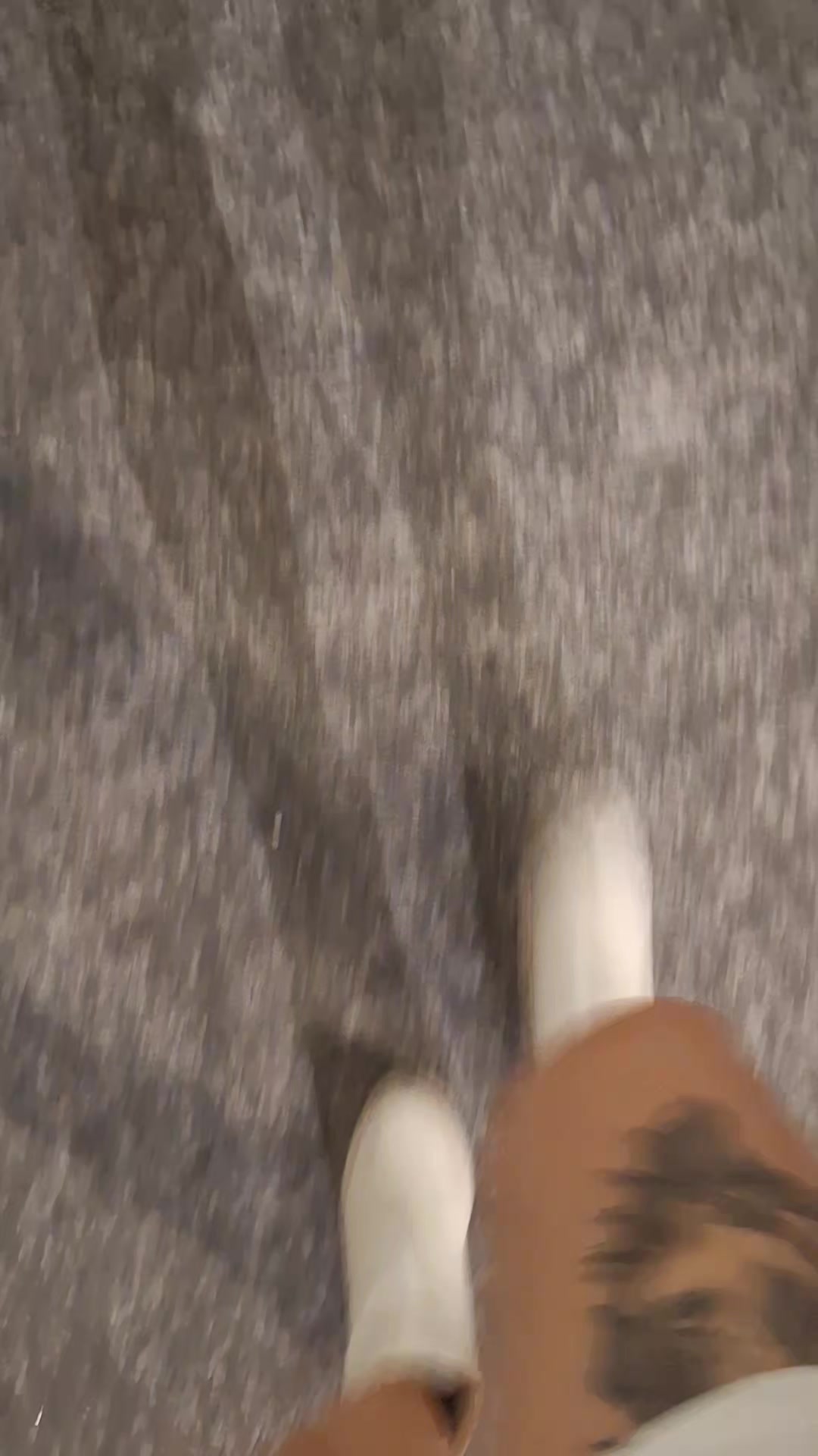 @MissVenus🌀🪽