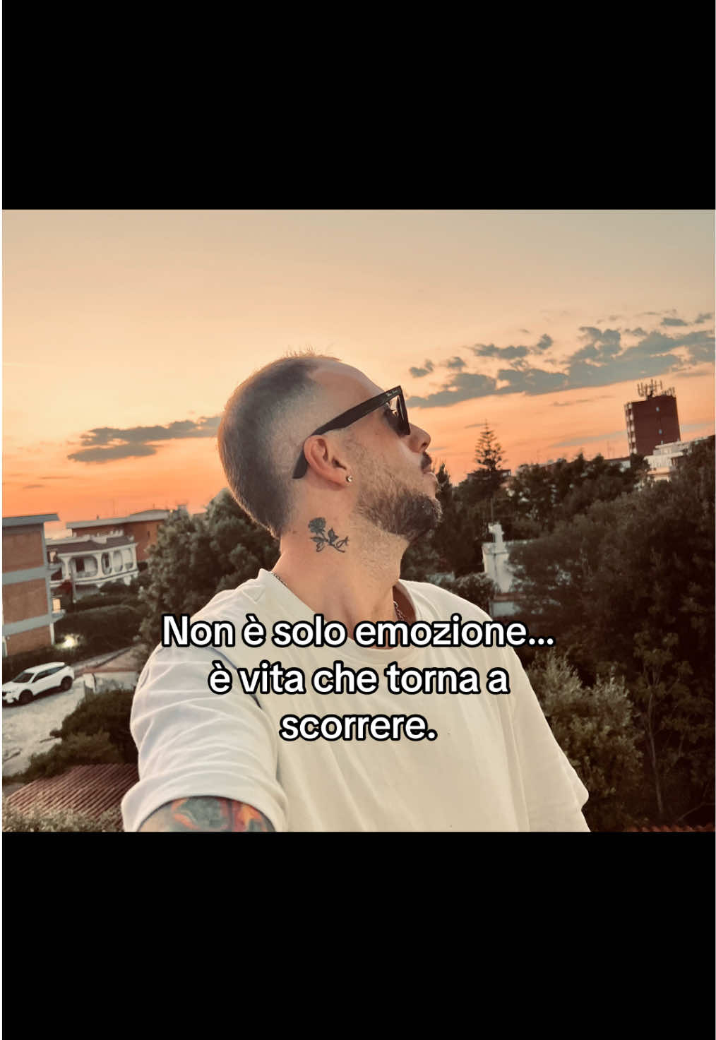 @Marco Cavarretta