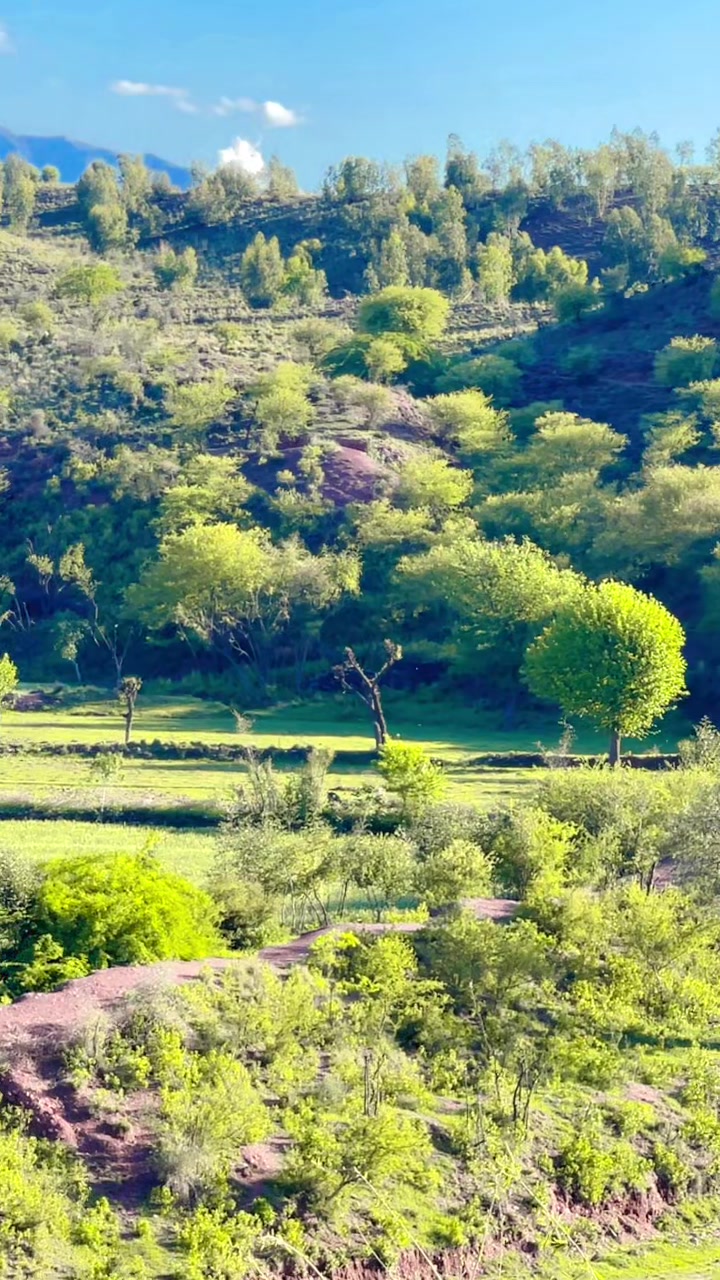 @masoom_663