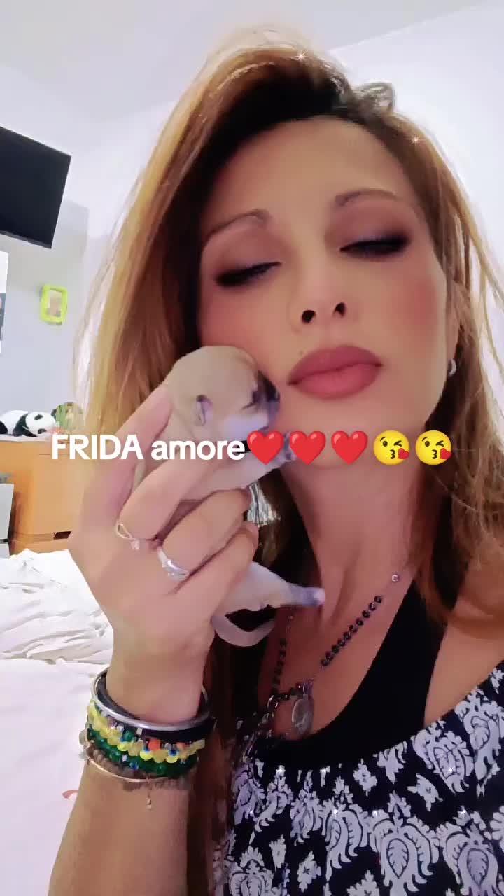 @maria77.md99@mail.com Damato