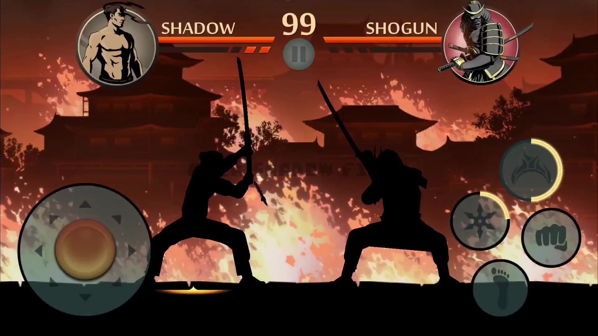 @Amir Shadow Fight