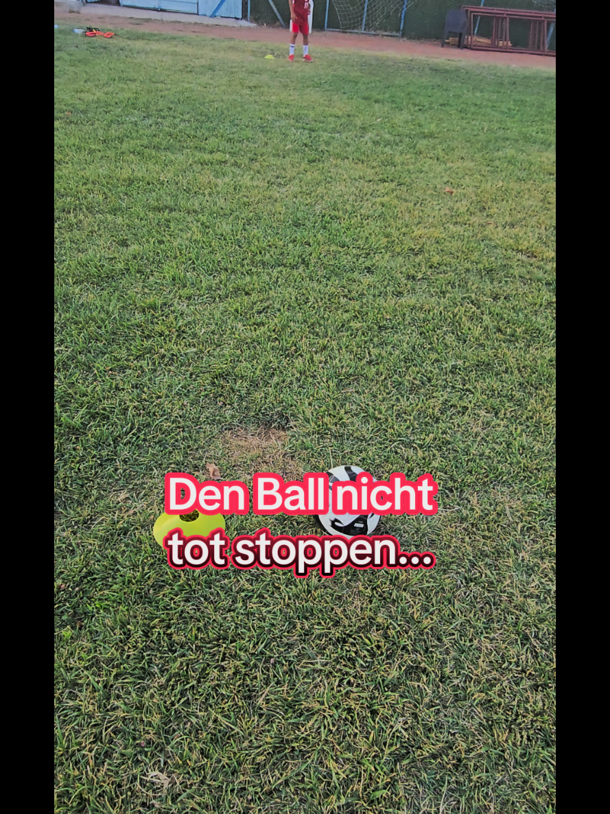 @die11erprofis 2017/18