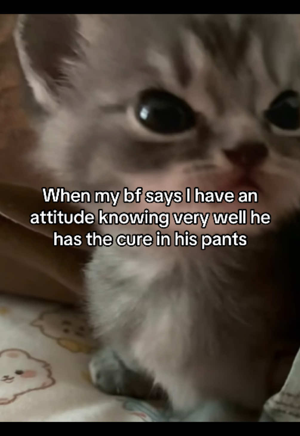 @Alice.cattok