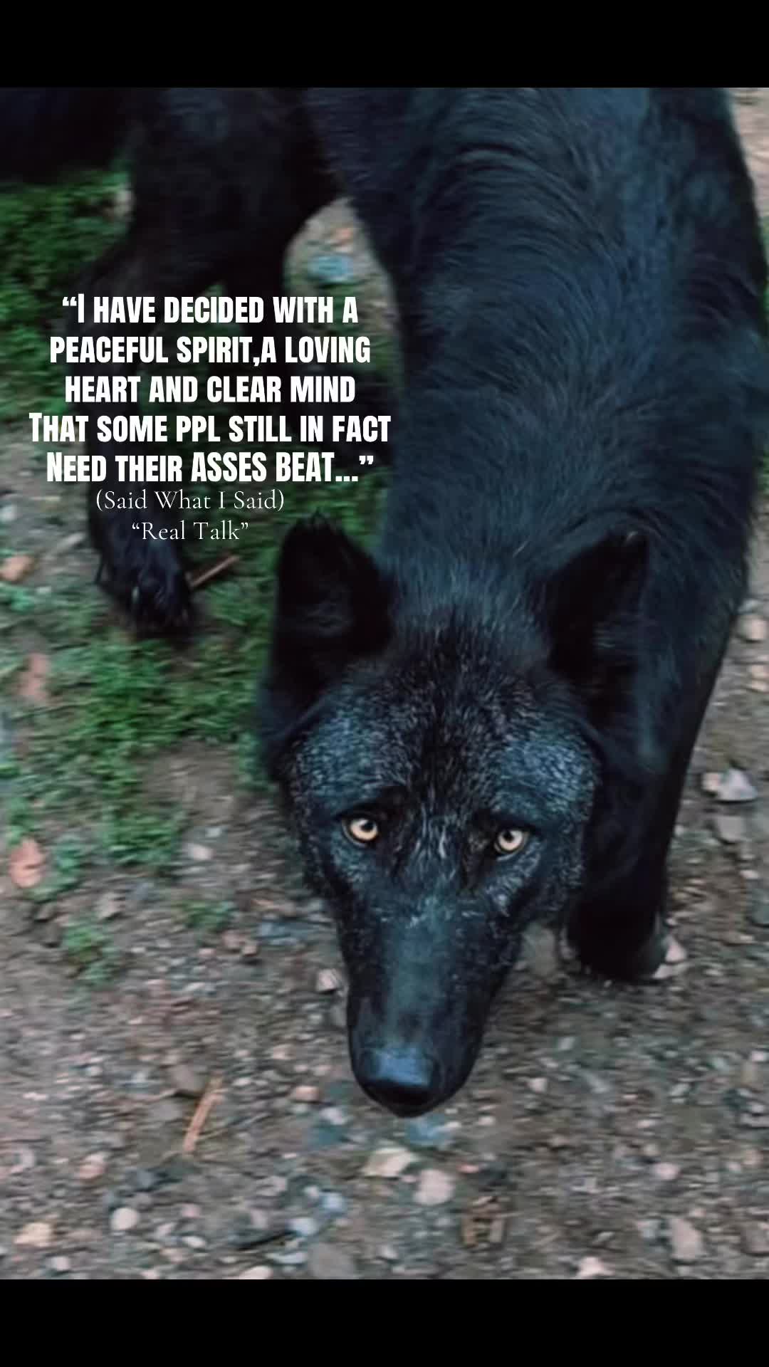 @🪬Conscious_LoneWolf🐺