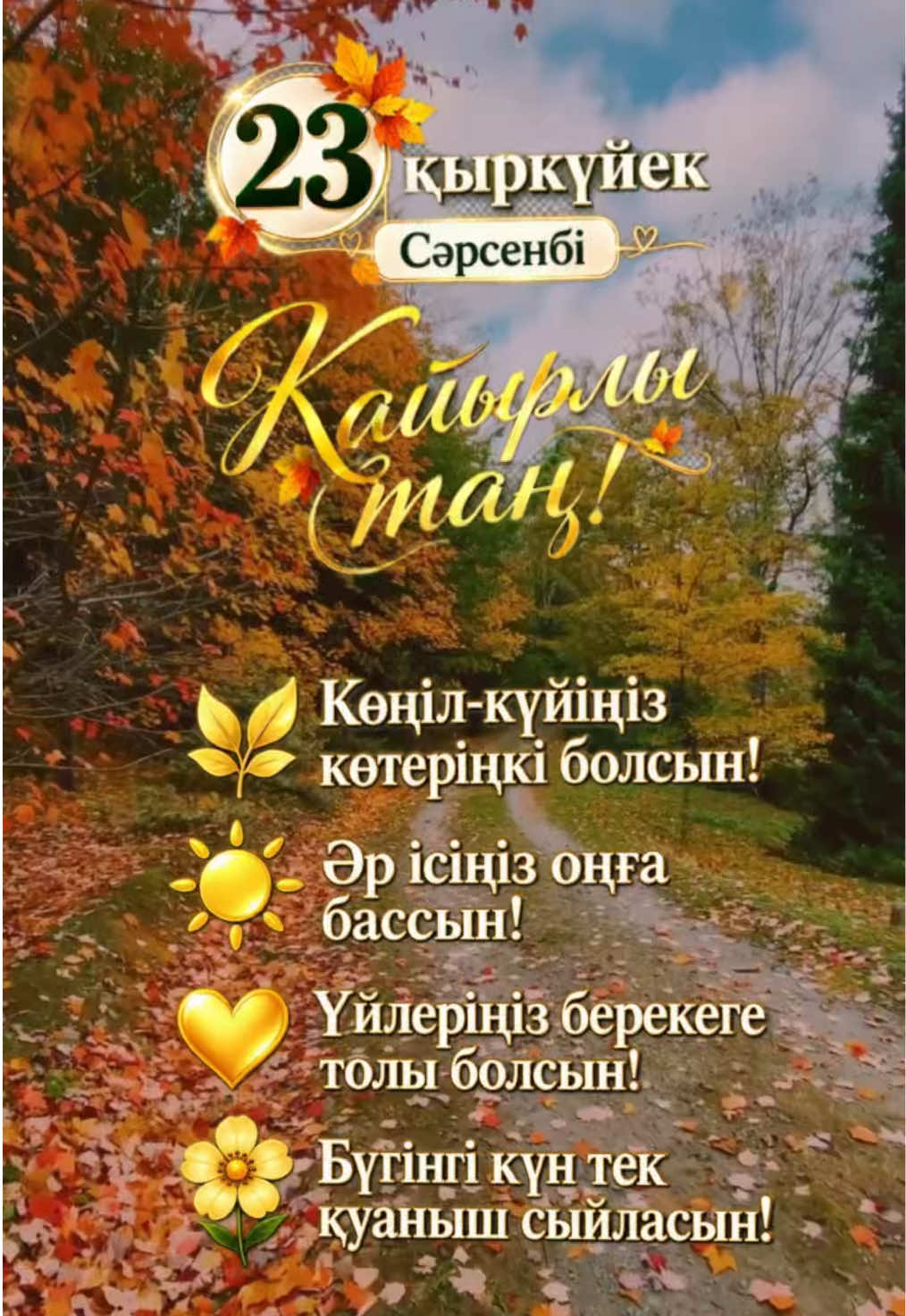 @aray_dinasil