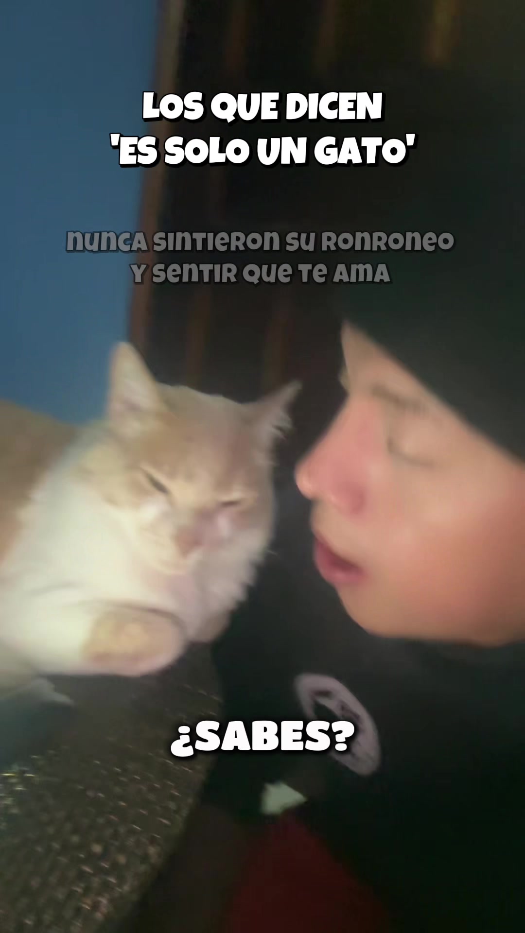 @Lumi.real