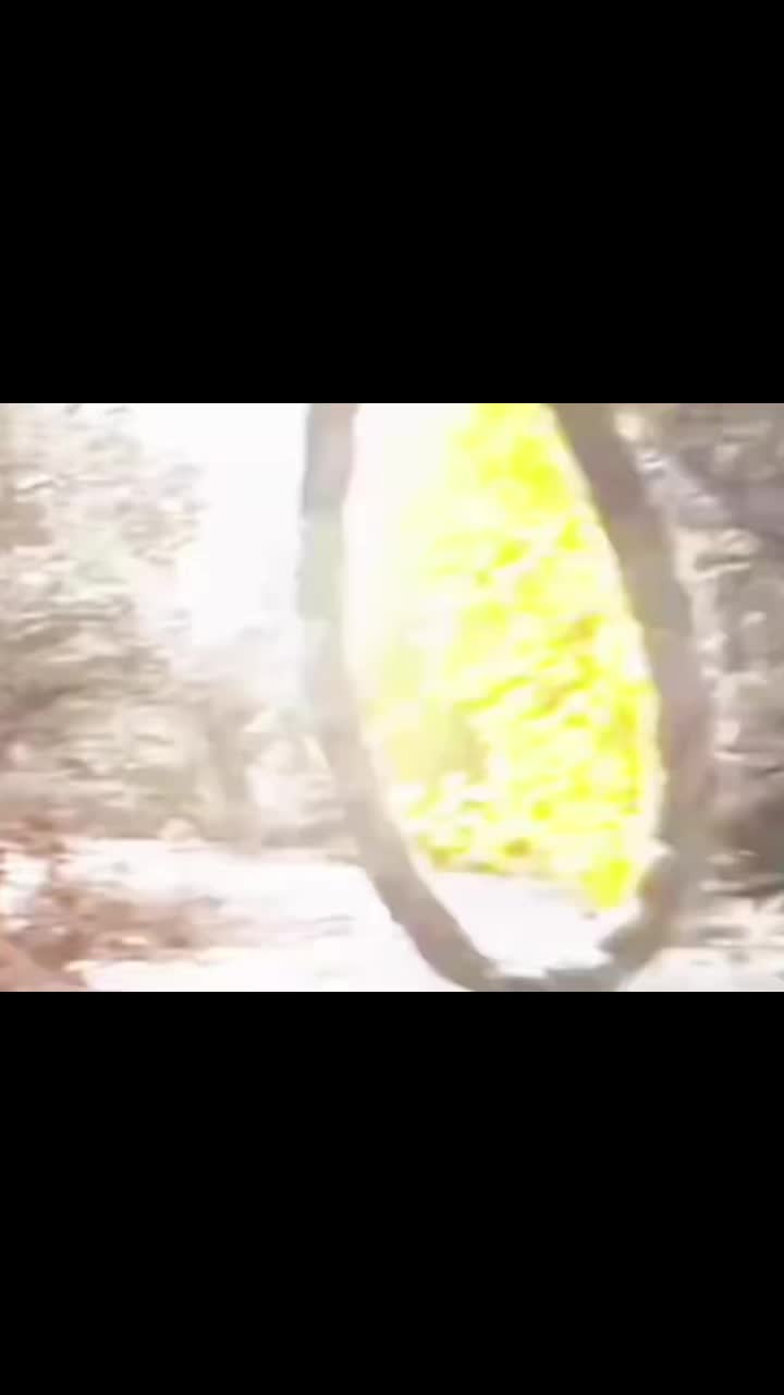 @🍥