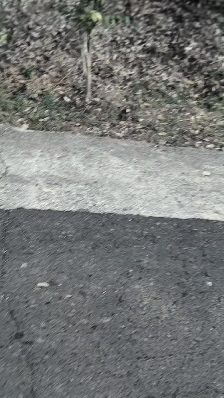 @yanzx🤡🙍&zwj;♂️