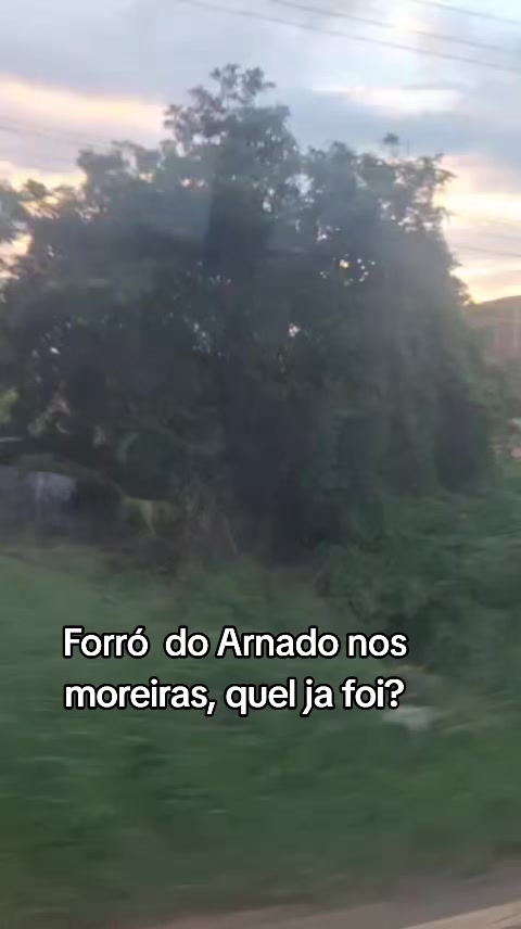 @zildatiburcio