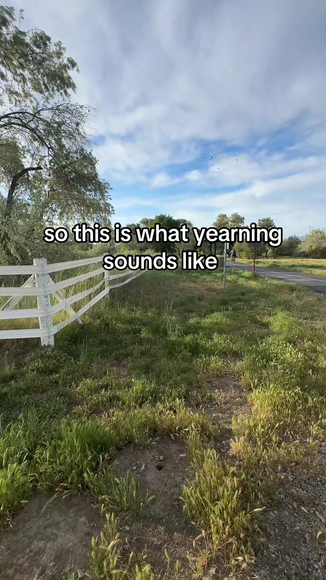 @Mimi