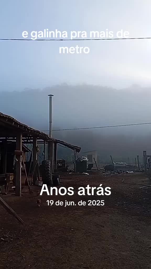 @Silvana Franco /vida na ro&ccedil;a
