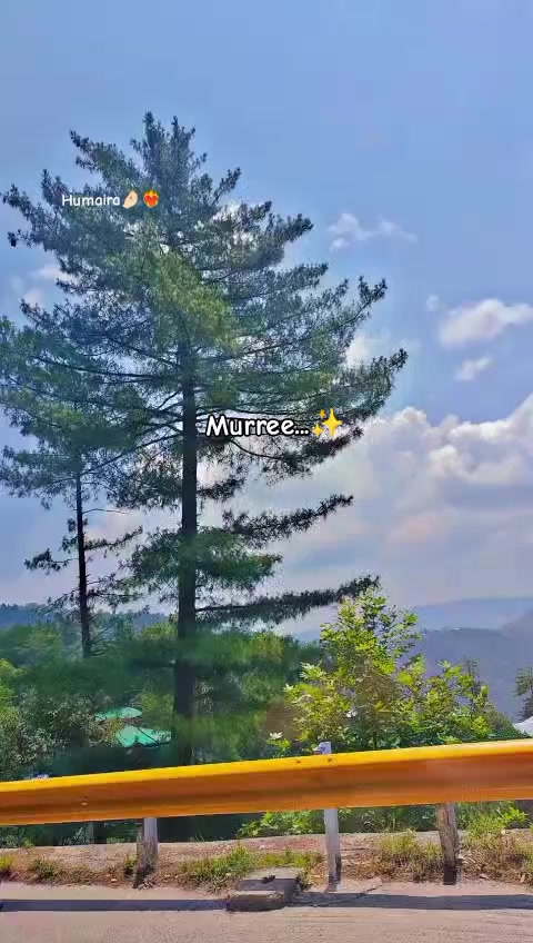 @Humaira🦋