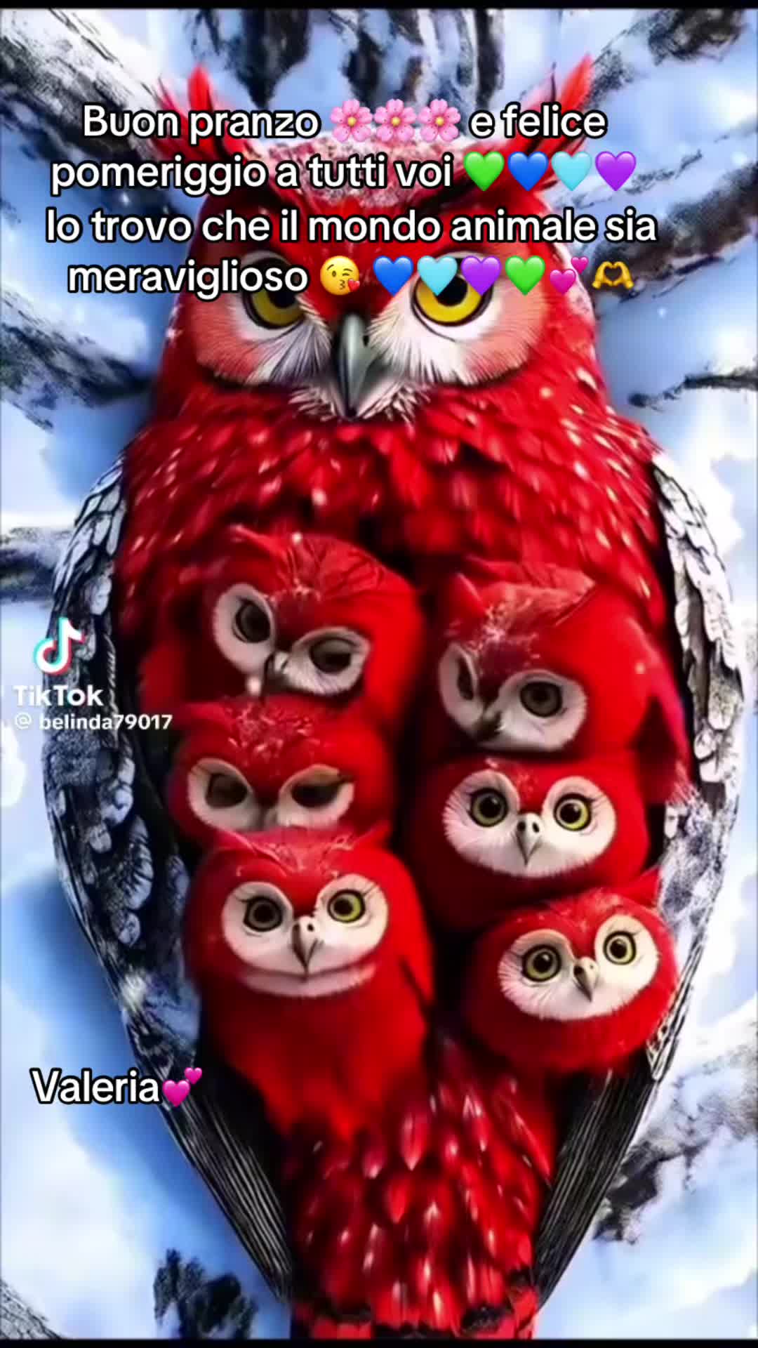 @valeriaevangelis840
