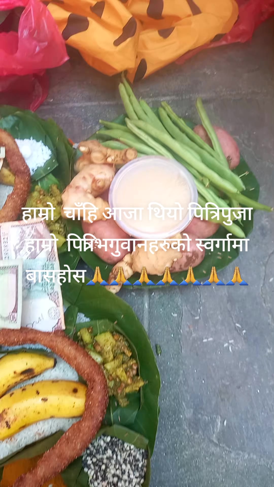 @Januka Karki