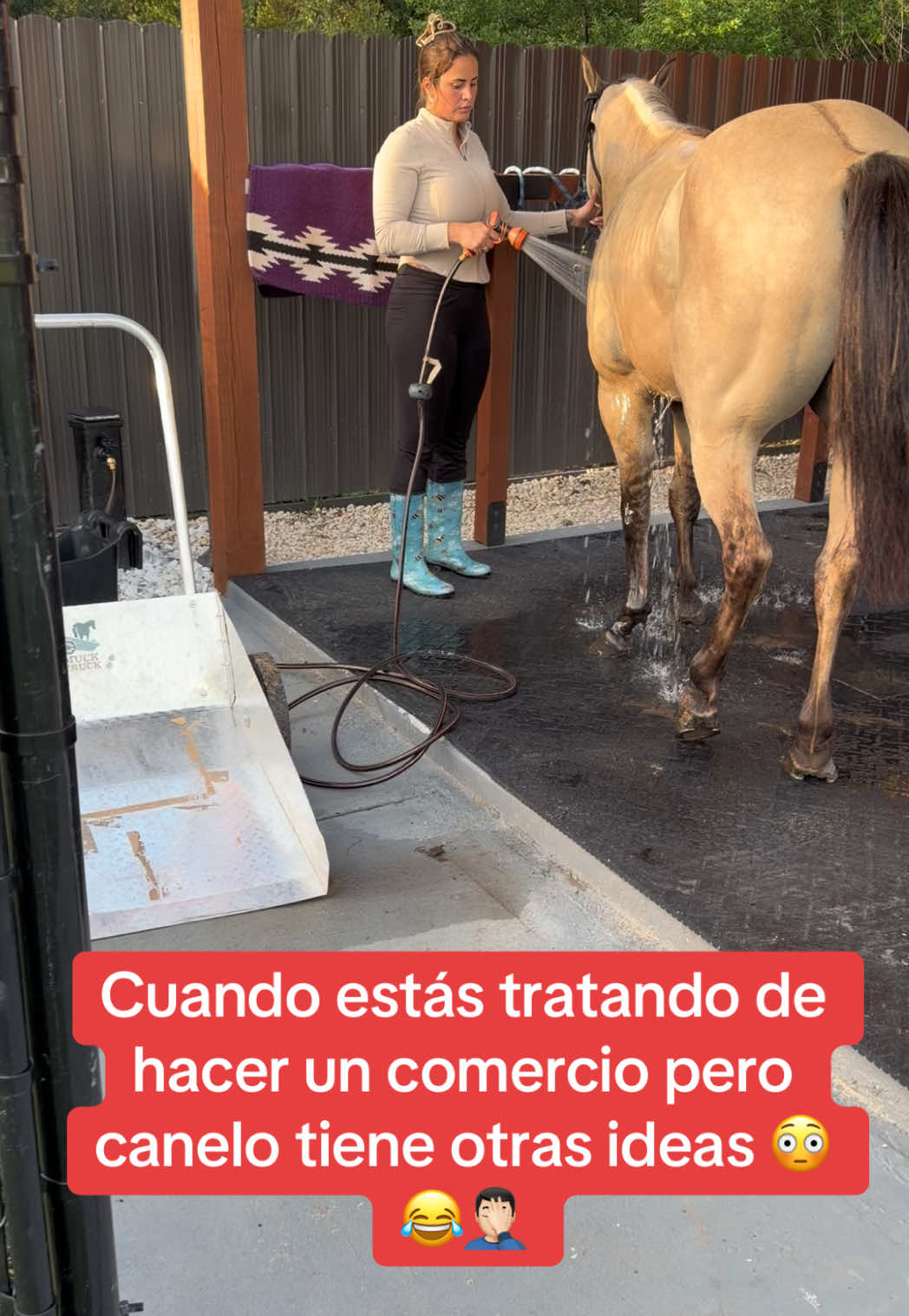 @Jorge Rodriguez