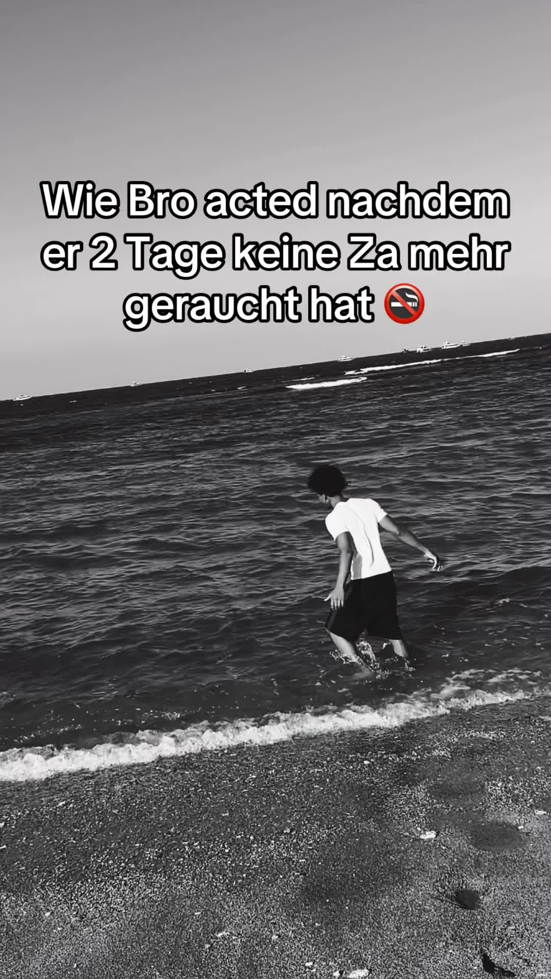 @setorkaiba