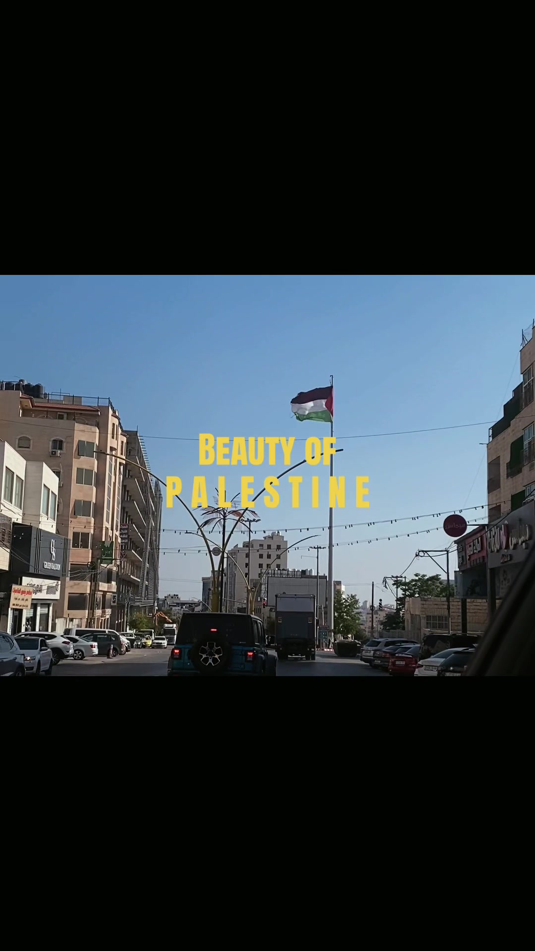 @🇵🇸