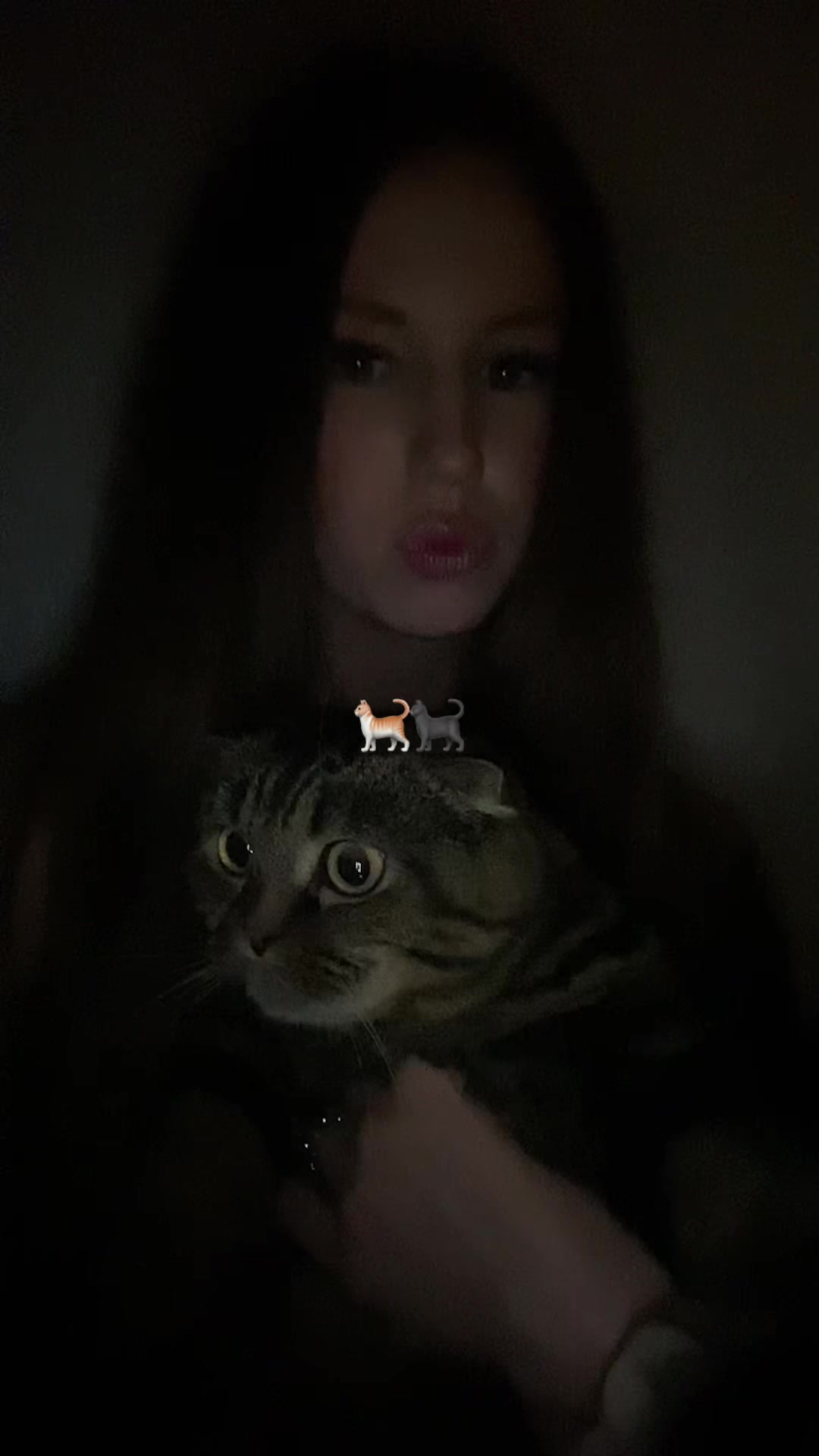 @дашкааа🪽