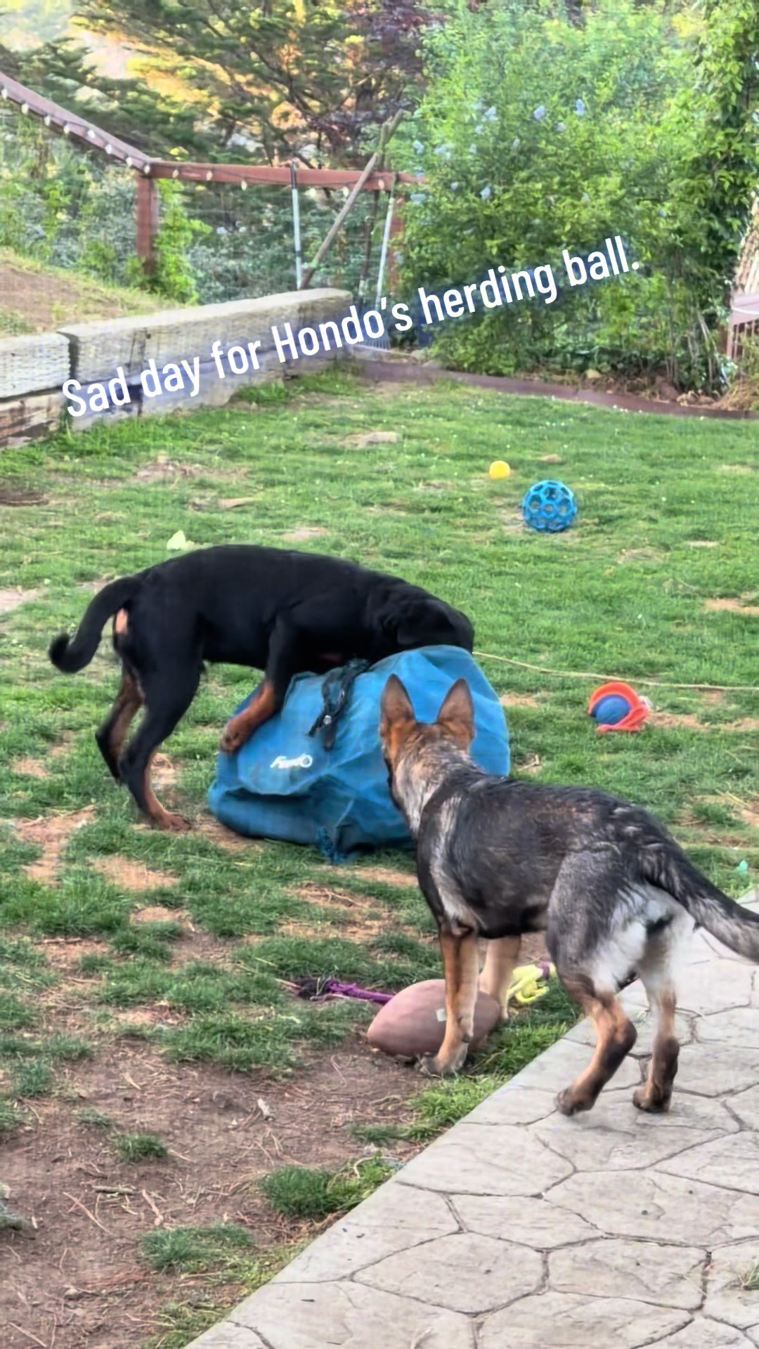 @Hause_of_hondo