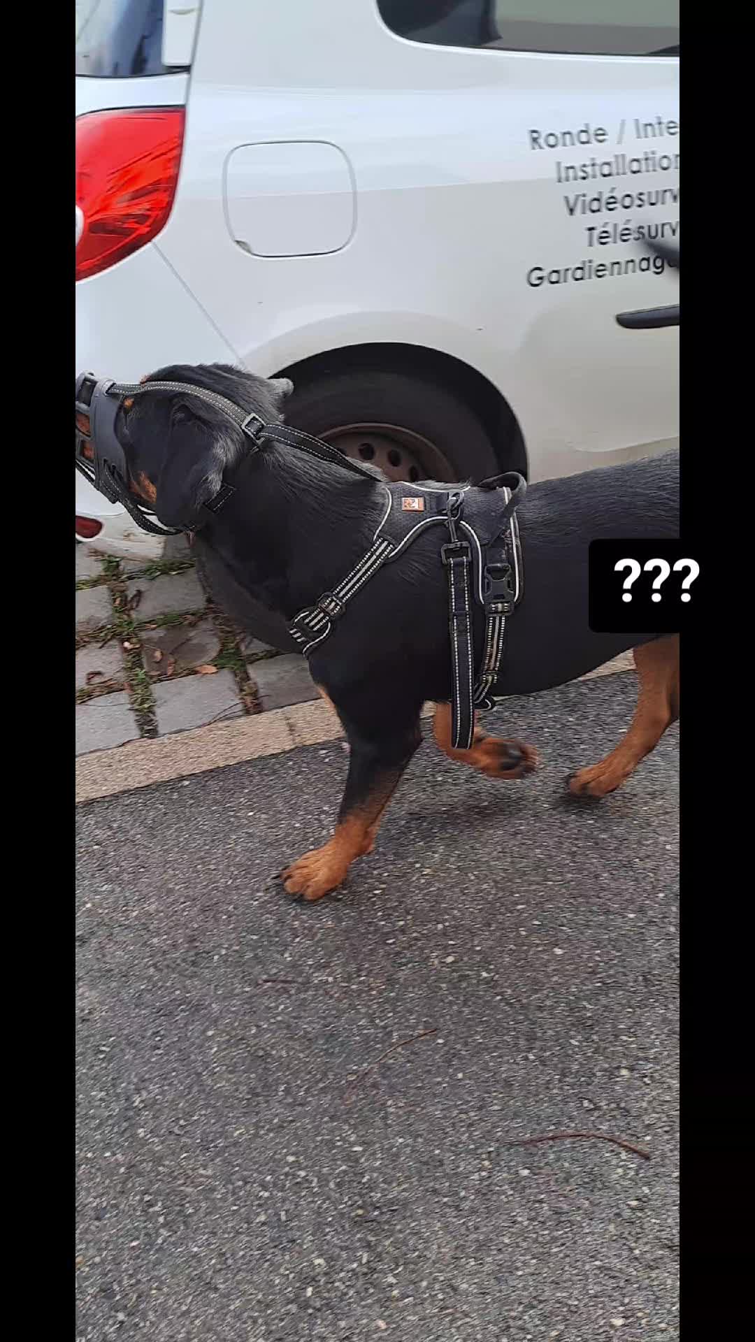 @NALA