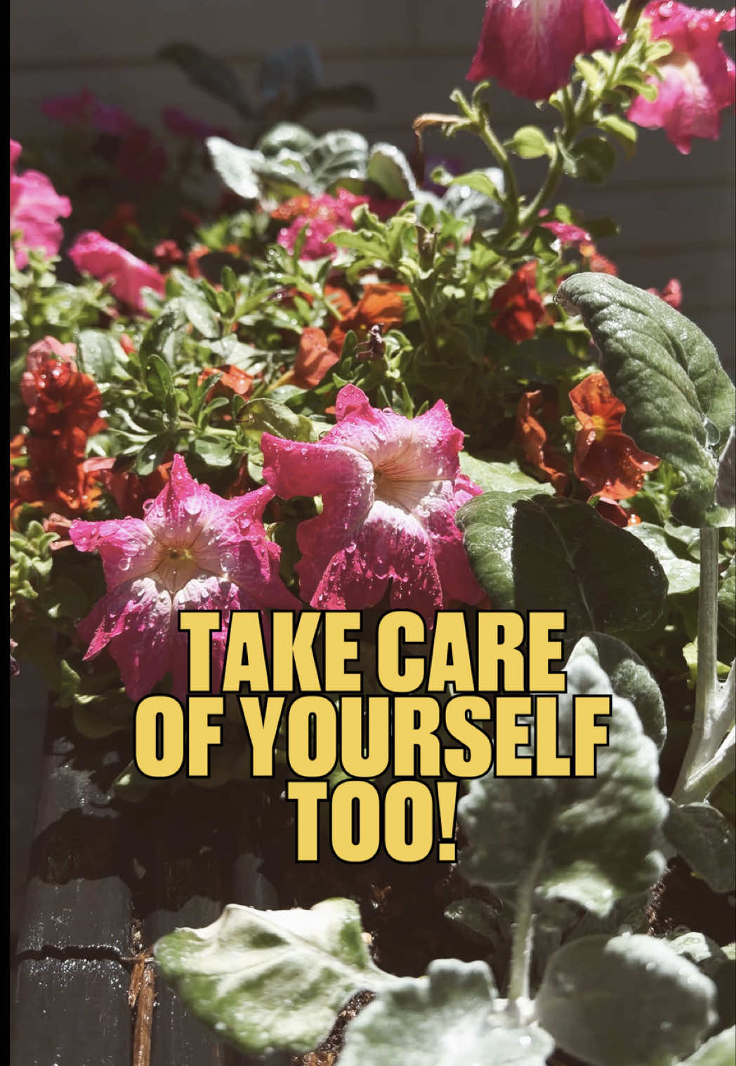 @FarmVogue