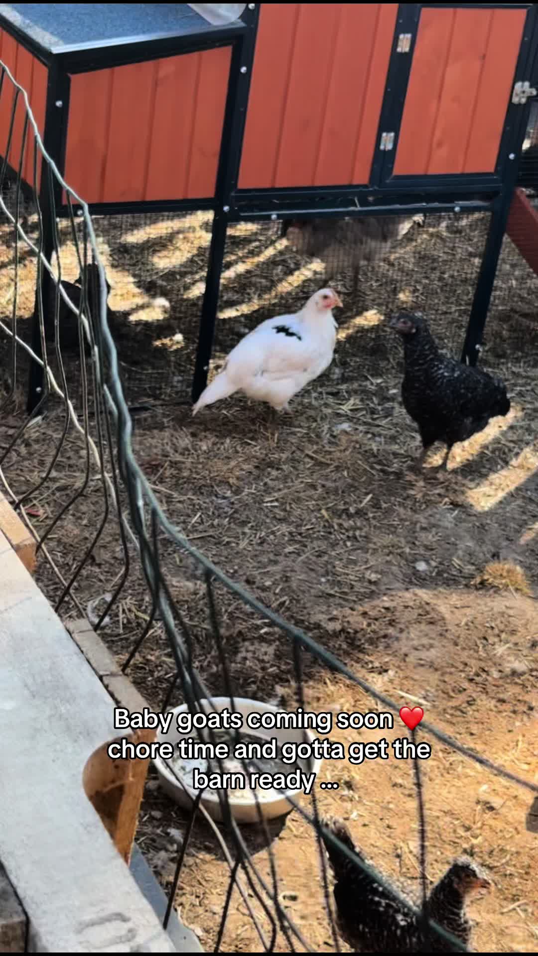 @bluidcontrygirl