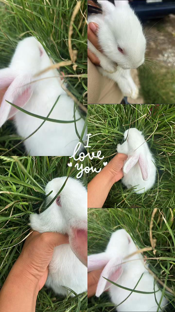 @Margarita 🌼 S2:7