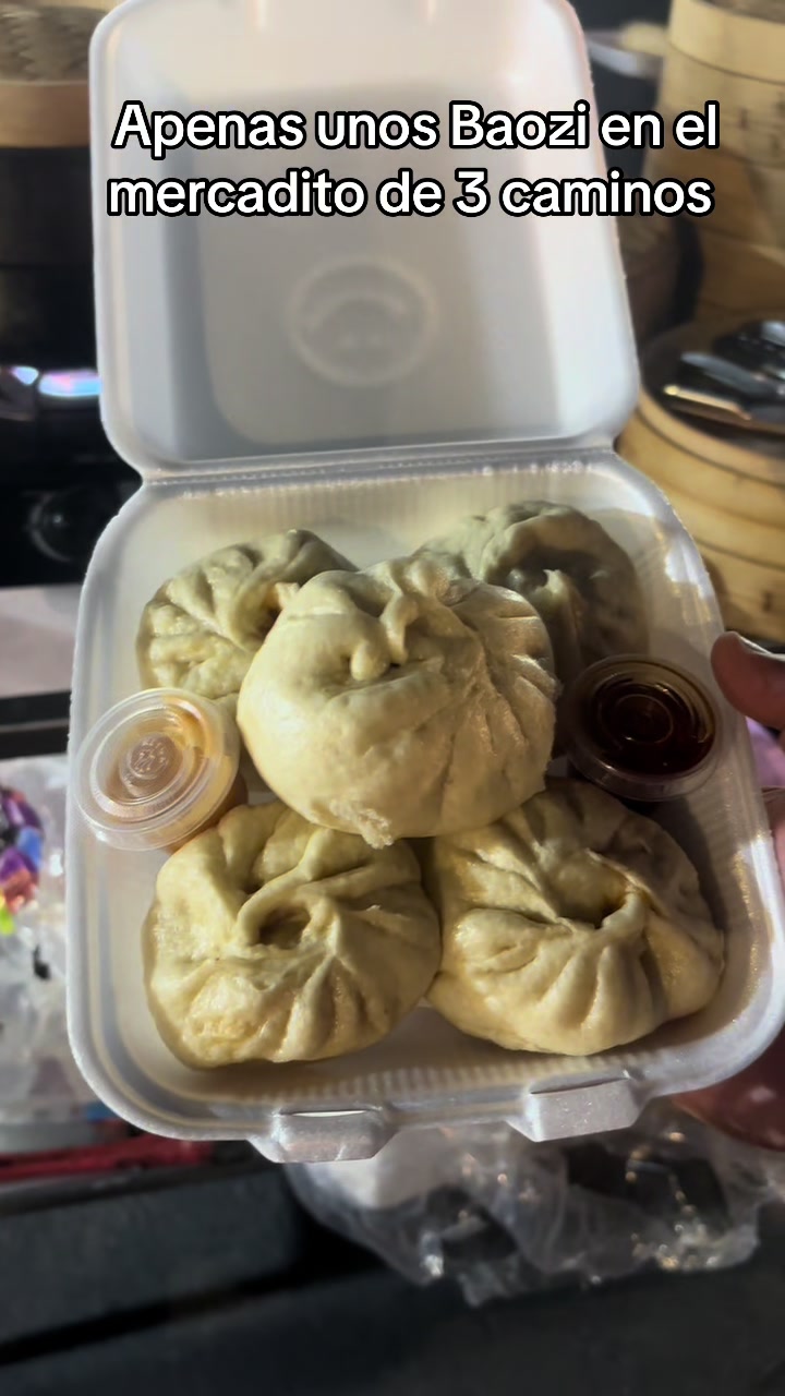 @BAOZI PANDA