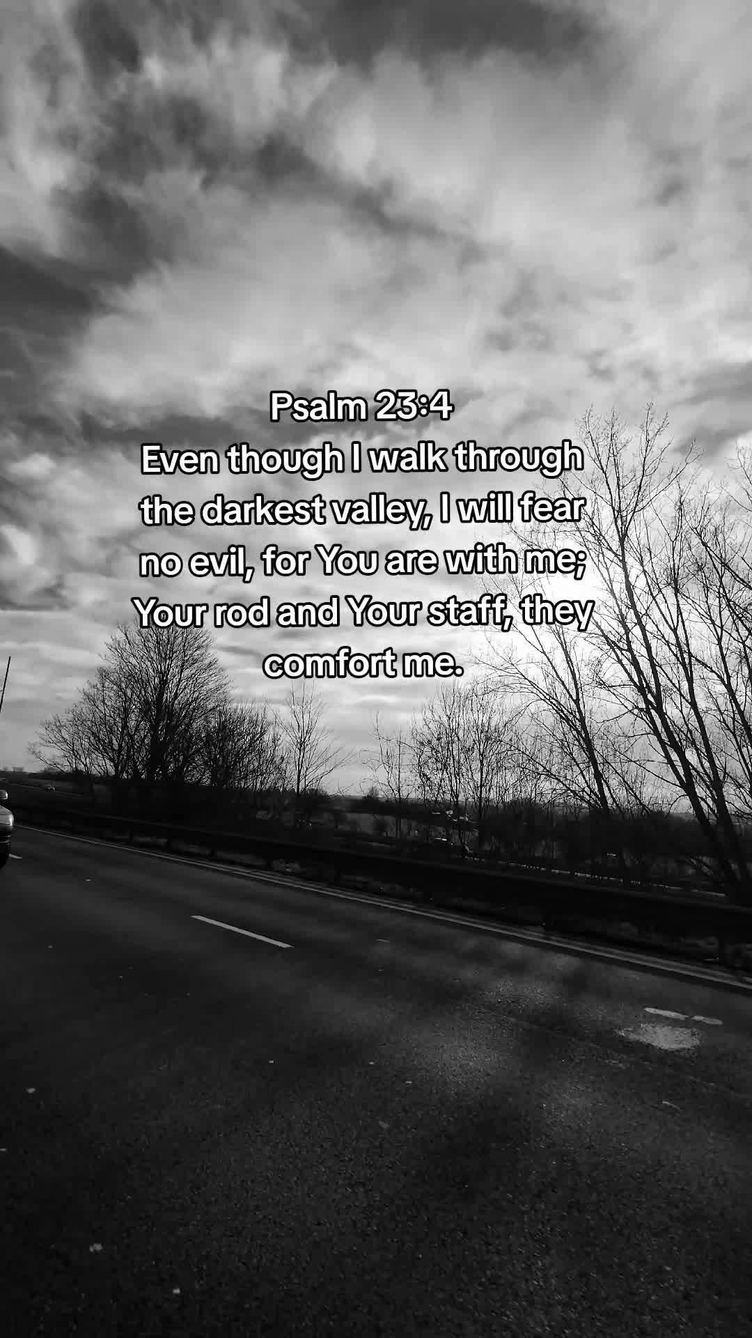 @BTB — Born to Believe