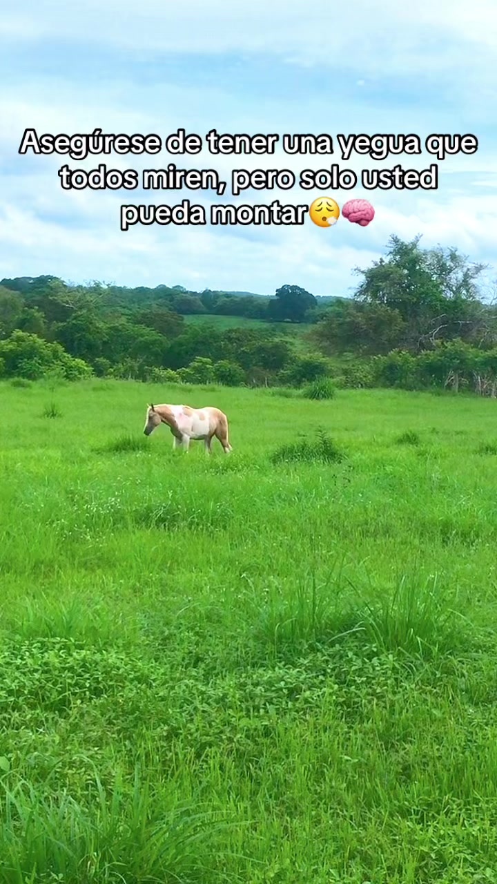 @pilot.rogelio13