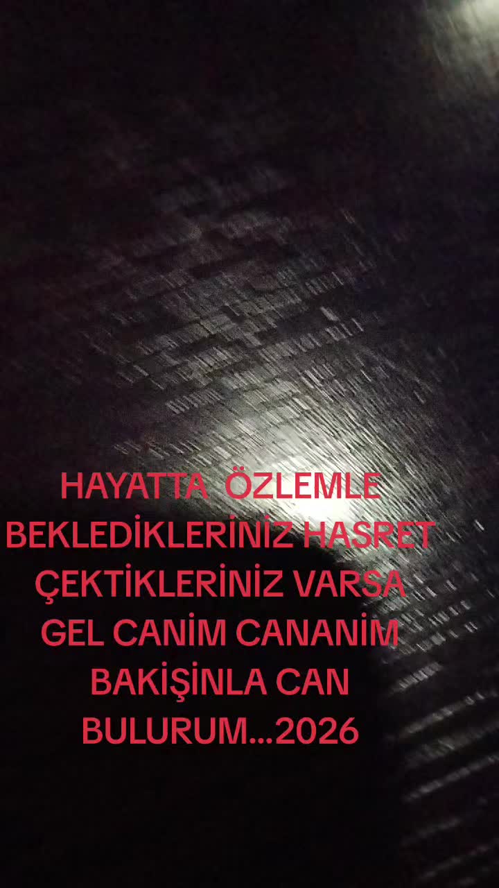 @BORDO BERELI ASLAN KRAL1