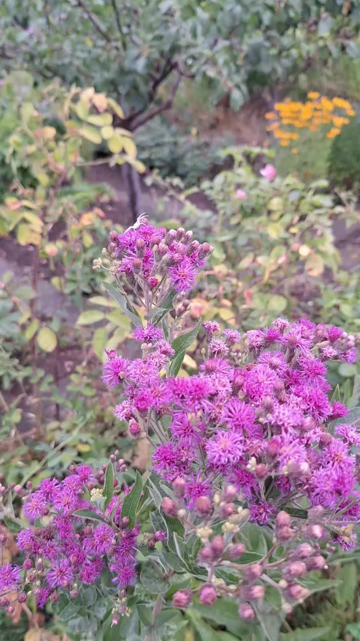 @Natur und Garten