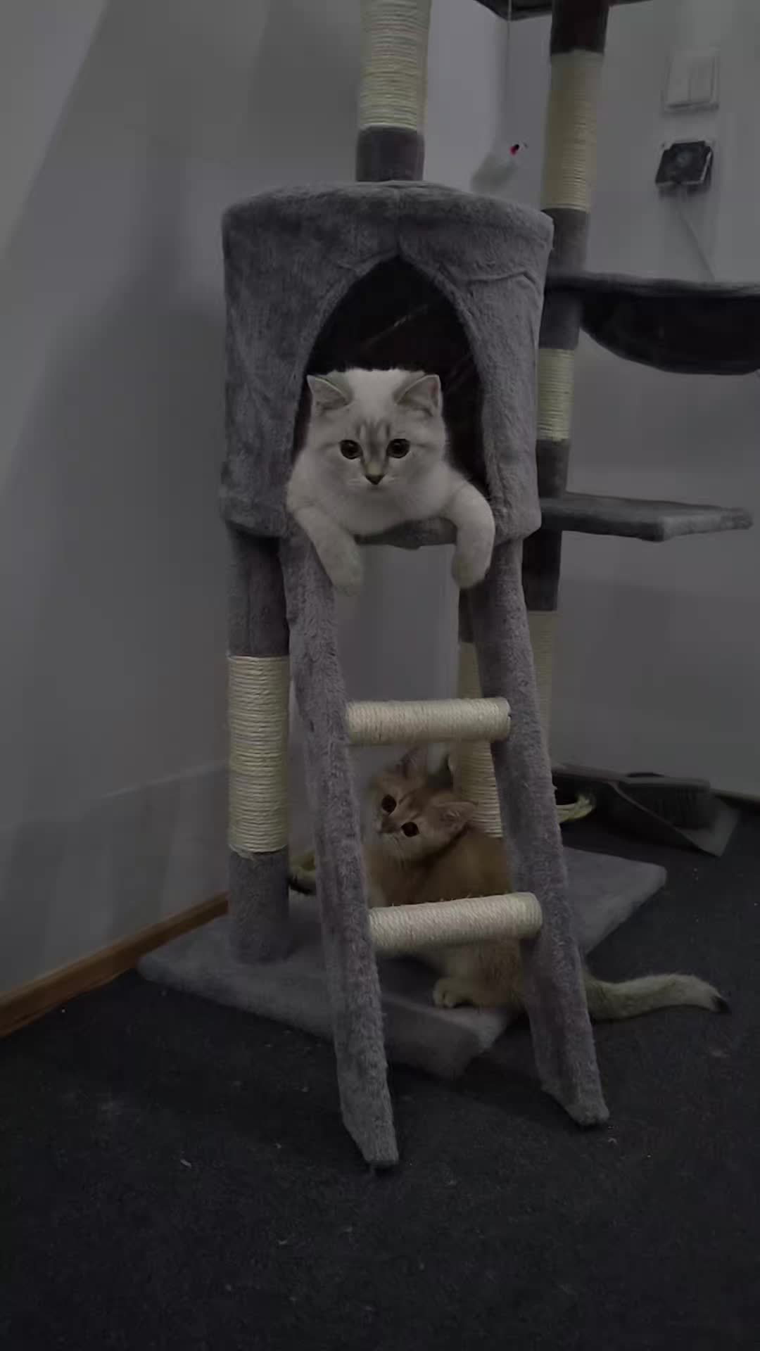 @😽
