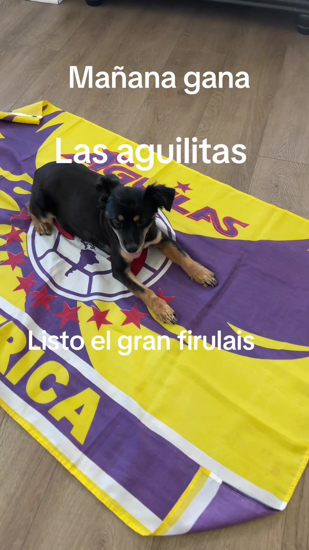 @Juanele