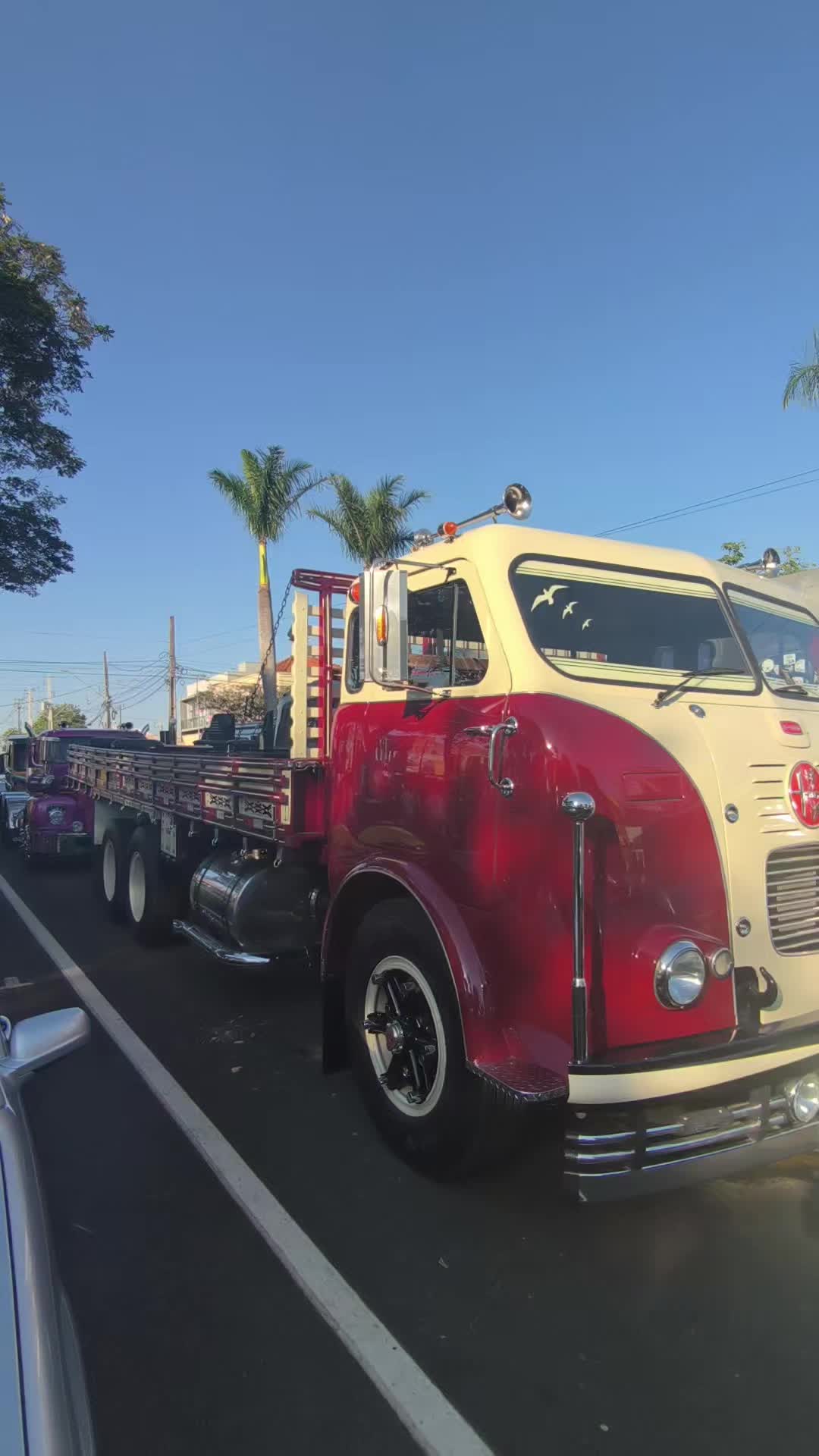 @Cars in Brasil