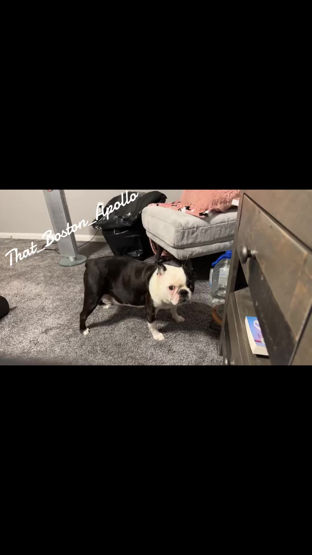 @That_Boston_Apollo