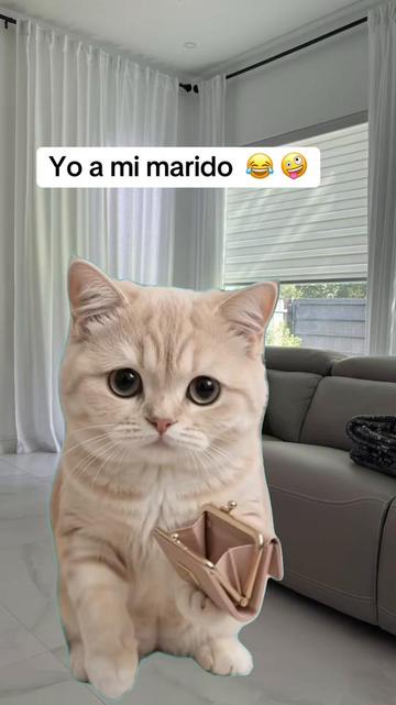 @Irreverente💯