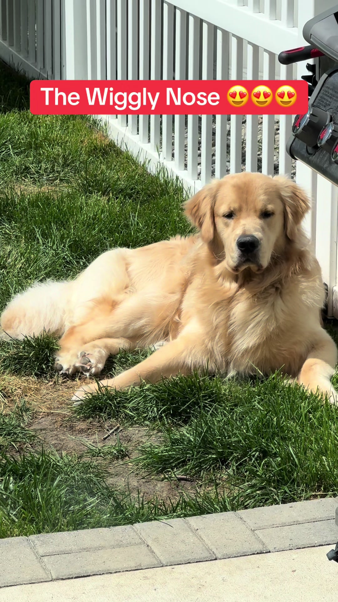 @Tucker_tha_Golden