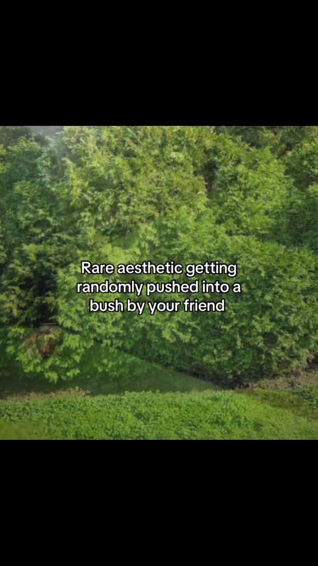 @Charlie2catchy